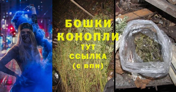 шишки Нефтегорск