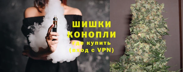 шишки Нефтегорск