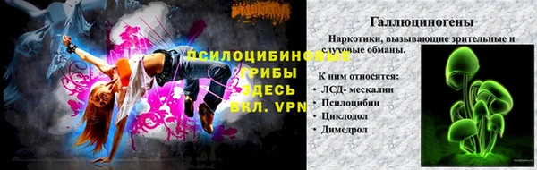 шишки Нефтегорск