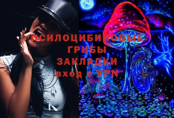 ECSTASY Нея
